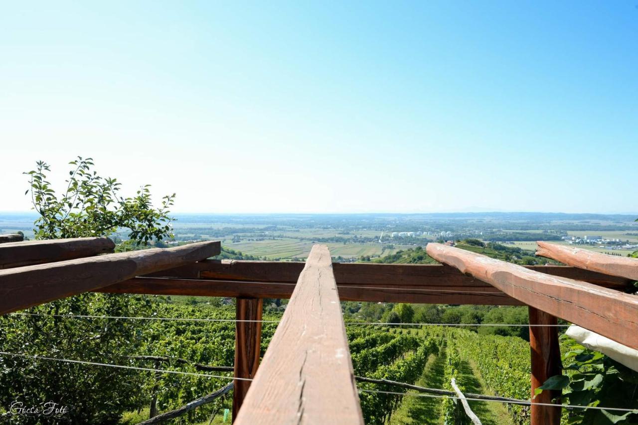 Hotel Hisa Vina Cuk Lendava Zewnętrze zdjęcie